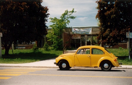 Photo de Montréal (Coccinelle à Côte-Saint-Luc). 